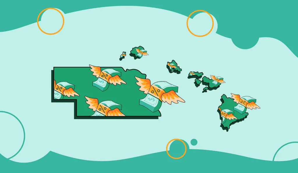 Navigating 2024 Vape Excise Tax Changes: What Do Hawaii and Nebraska Mean for Your Business?